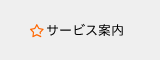 府中インターネットのサービス