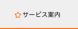 府中インターネットのサービス